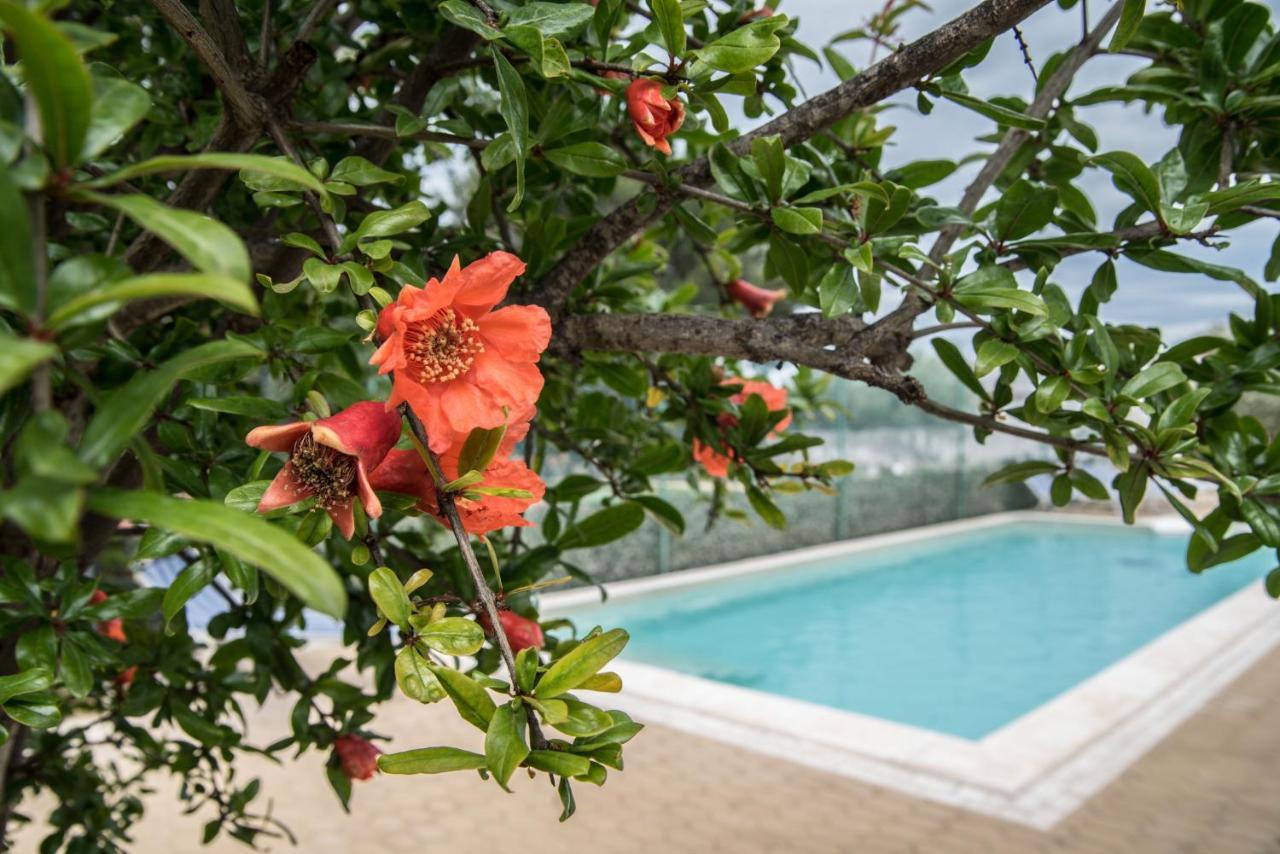 Villa Lara Polignano a Mare Exteriör bild